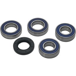 All Balls Wheel Bearing And Seal Kit Rear 25-1533 For KTM Unpainted