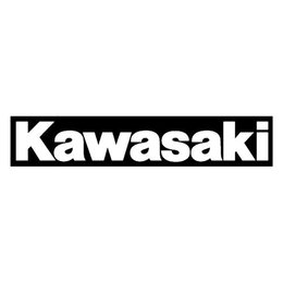 Factory Effex Swingarm Graphics Kawasaki Logo White 09-44112