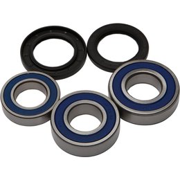 All Balls Wheel Bearing And Seal Kit Rear For Yamaha FZ8 YZF R1 Limited Edition Unpainted