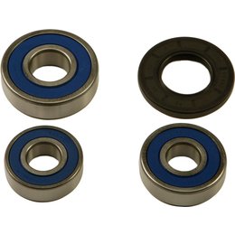 All Balls Wheel Bearing And Seal Kit Rear 25-1610 For Suzuki GT750 Le Mans RE5 Unpainted