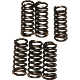 EBC CSK Coil Type Clutch Spring Kit For Honda CSK28 Unpainted