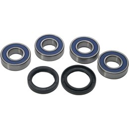 All Balls Wheel Bearing And Seal Kit Rear For BMW G650X Challenge G650X Country Unpainted