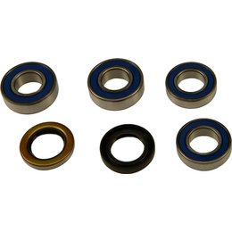 All Balls Wheel Bearing And Seal Kit Rear 25-1673 For BMW G650X Moto 2007 Unpainted