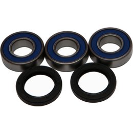 All Balls Wheel Bearing And Seal Kit Rear 25-1243 For Suzuki RM125 RM250 Unpainted