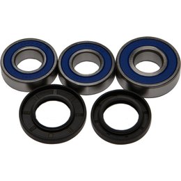 All Balls Wheel Bearing And Seal Kit Rear 25-1066 For Suzuki DR250/350 DRZ250