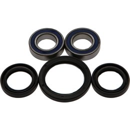 All Balls Wheel Bearing And Seal Kit Front 25-1080 For KTM