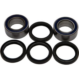 All Balls Wheel Bearing And Seal Kit Rear 25-1433 For Arctic Cat Unpainted
