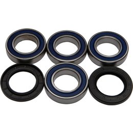 All Balls Wheel Bearing And Seal Kit Rear 25-1436 For Arctic Cat Unpainted