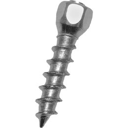 Woody's Attack Twist Snowmobile And ATV Screws 25MM 100-Pack WST-0625-100 Unpainted